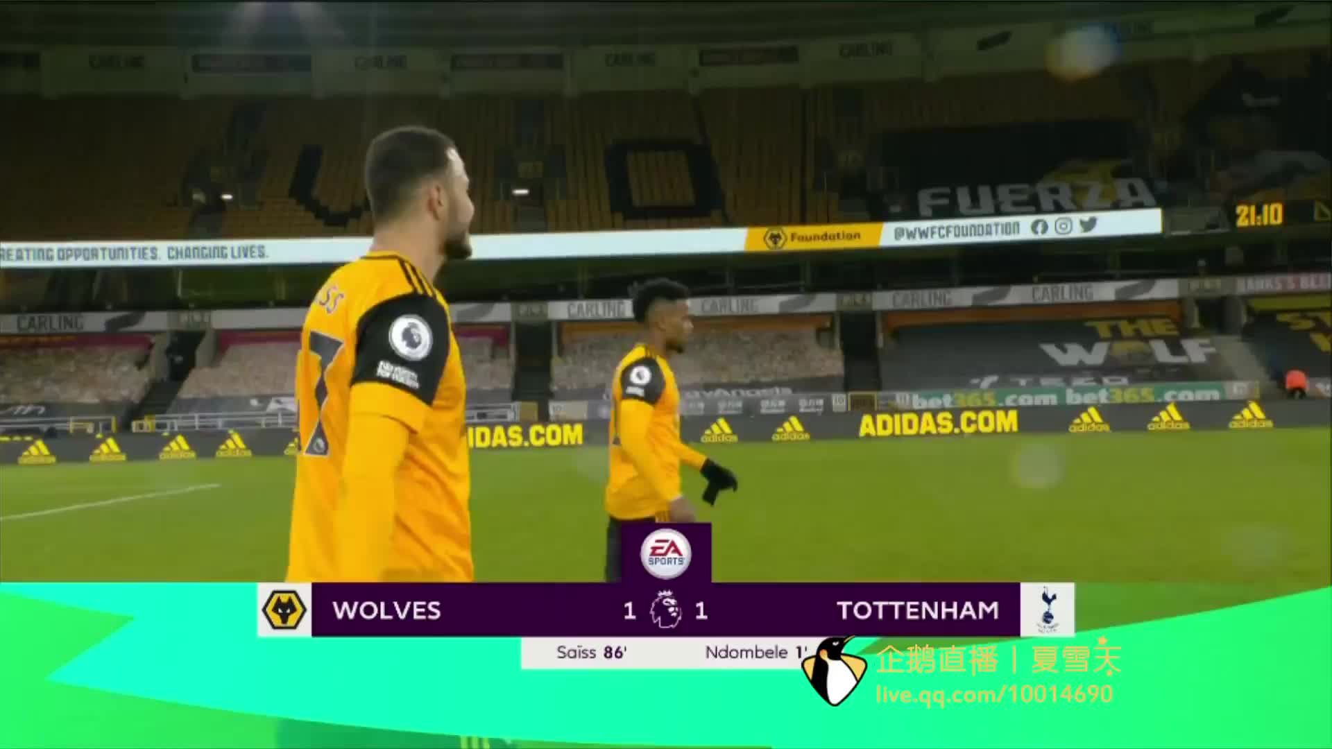 队友和球迷 队友和球迷